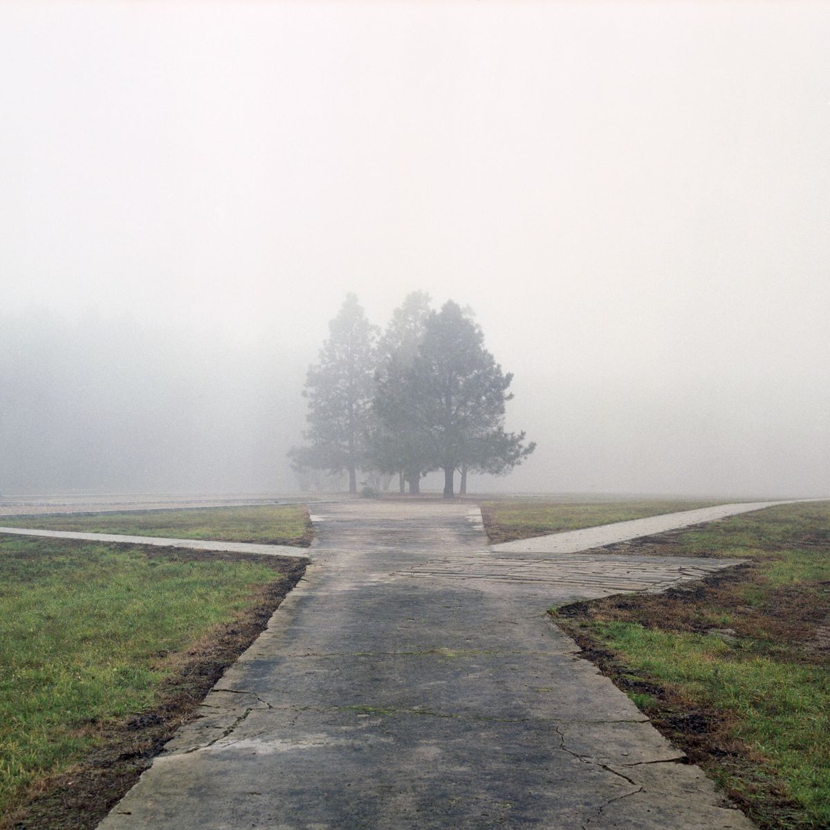 © Marc Wilson | A Wounded Landscape