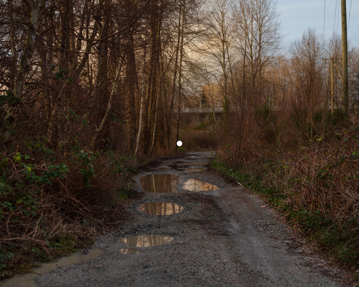 © Amy Romer | The place inside the head of False Creek